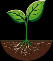  Root-Cause Medicine, Not Quick Fixes